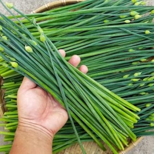 Hoa quả và rau hữu cơ/Fruits & Vegetables organic