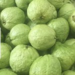 Ổi hữu cơ Ba Tốt